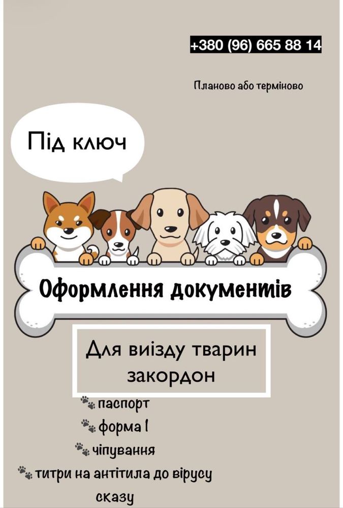 Титры. Документы для животных. Антитіла. Документм для собак, котів