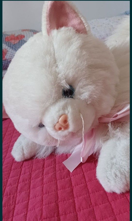 Peluche Gato branco