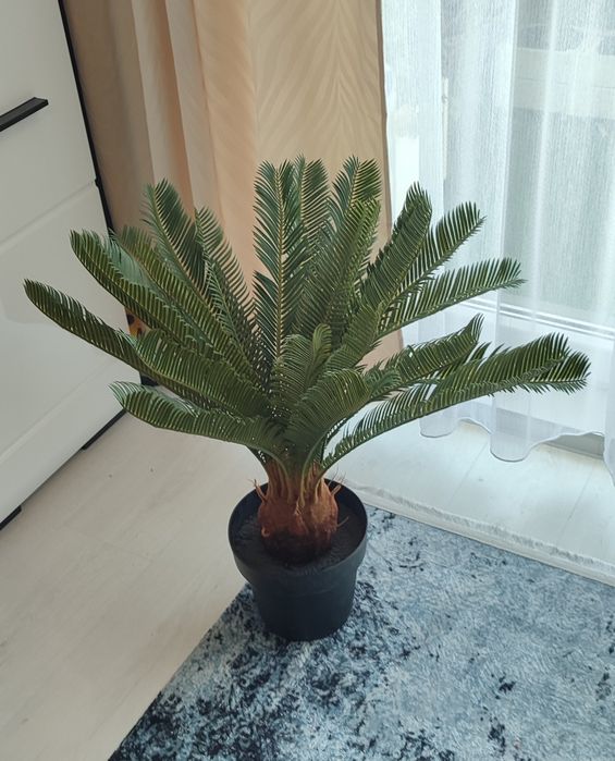 Sztuczna palma cykas