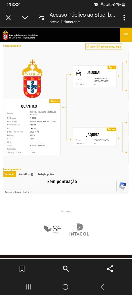 Cavalo Psl inteiro