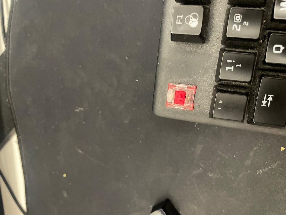 Teclados gaming hyperx e sharkoon