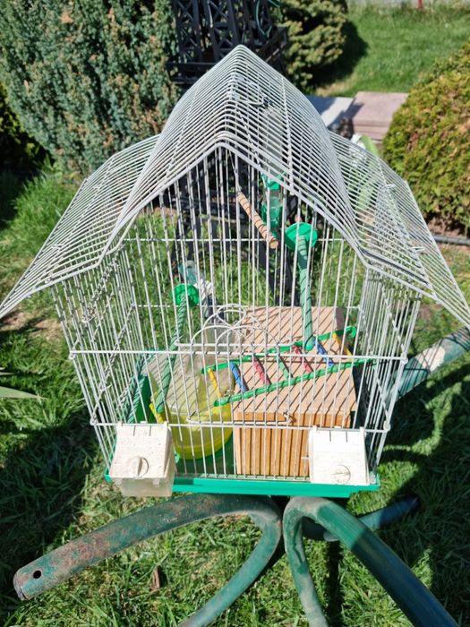 Клітка для пташки або гризунів.