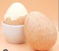 Jaja perlicze na wylęg lub konsumpcji