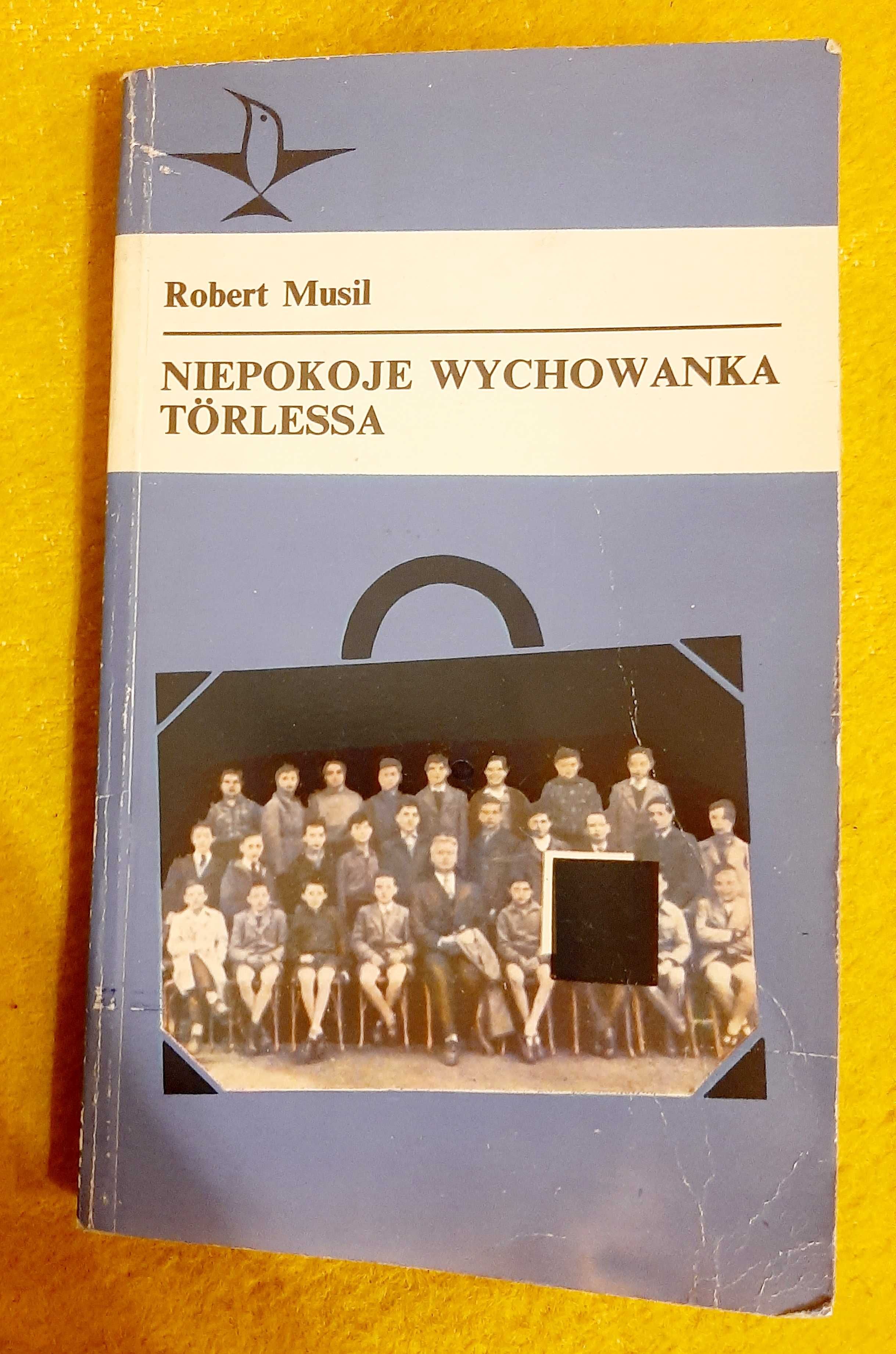 R. Musil, Niepokoje wychowanka Törlessa