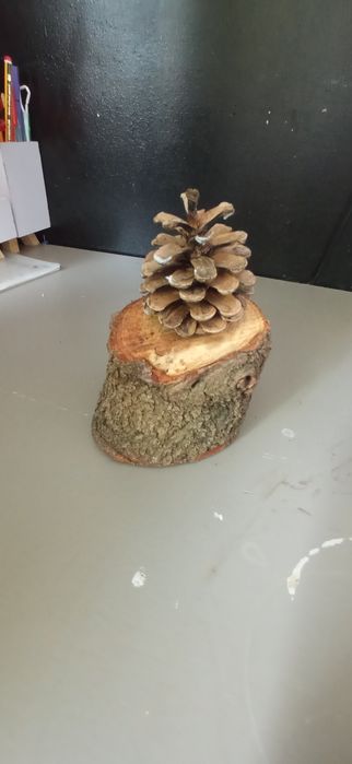 Ozdoba pieniek z szyszką