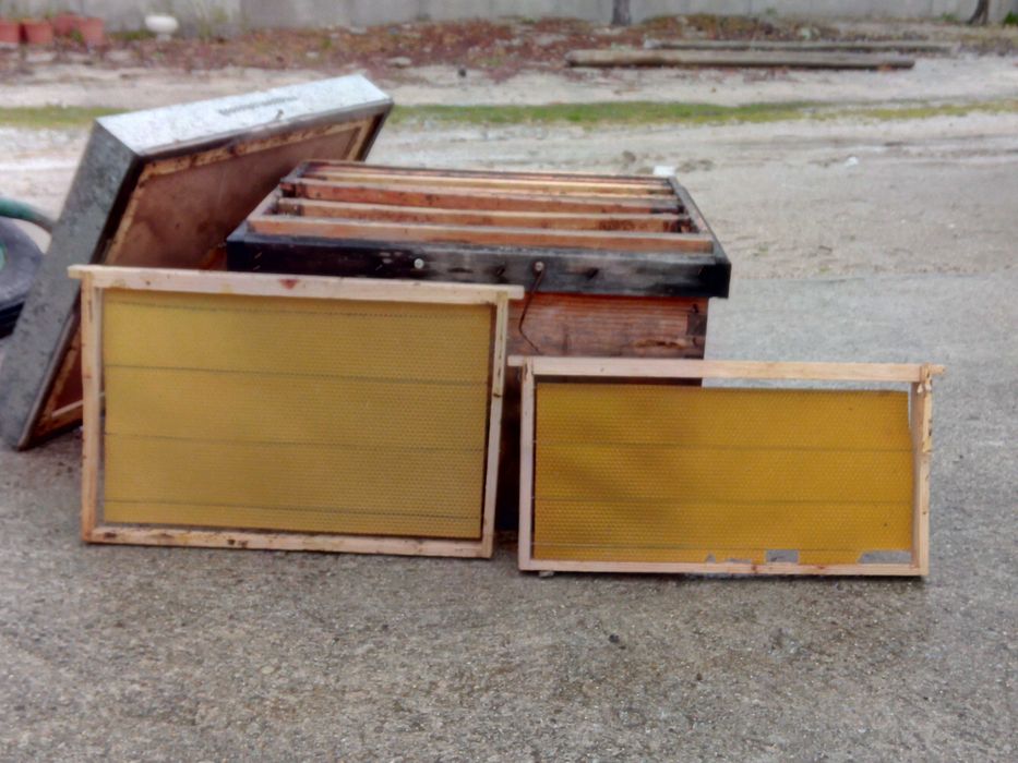 colmeias e alimentadores