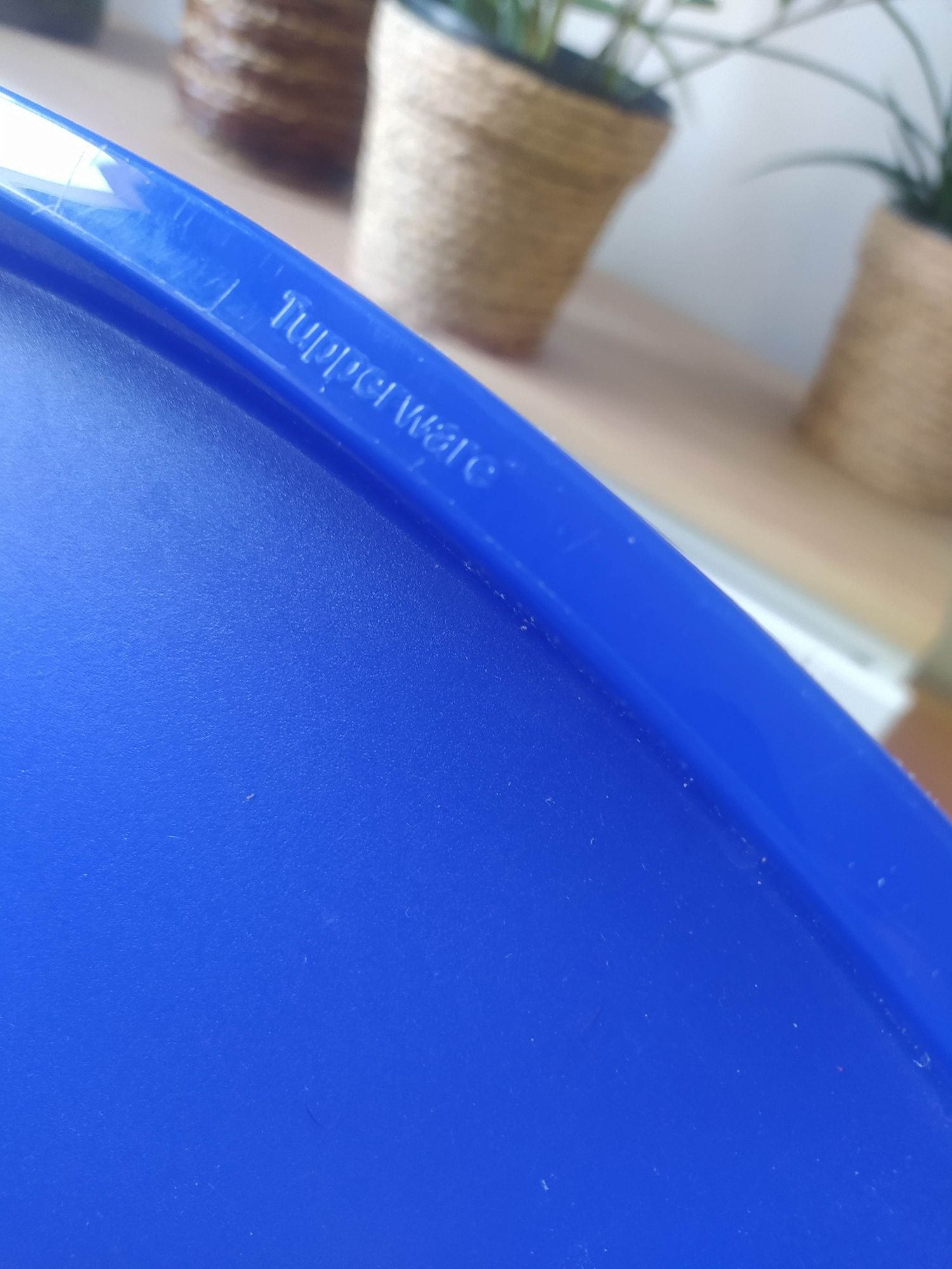 Taca Tupperware niebieska