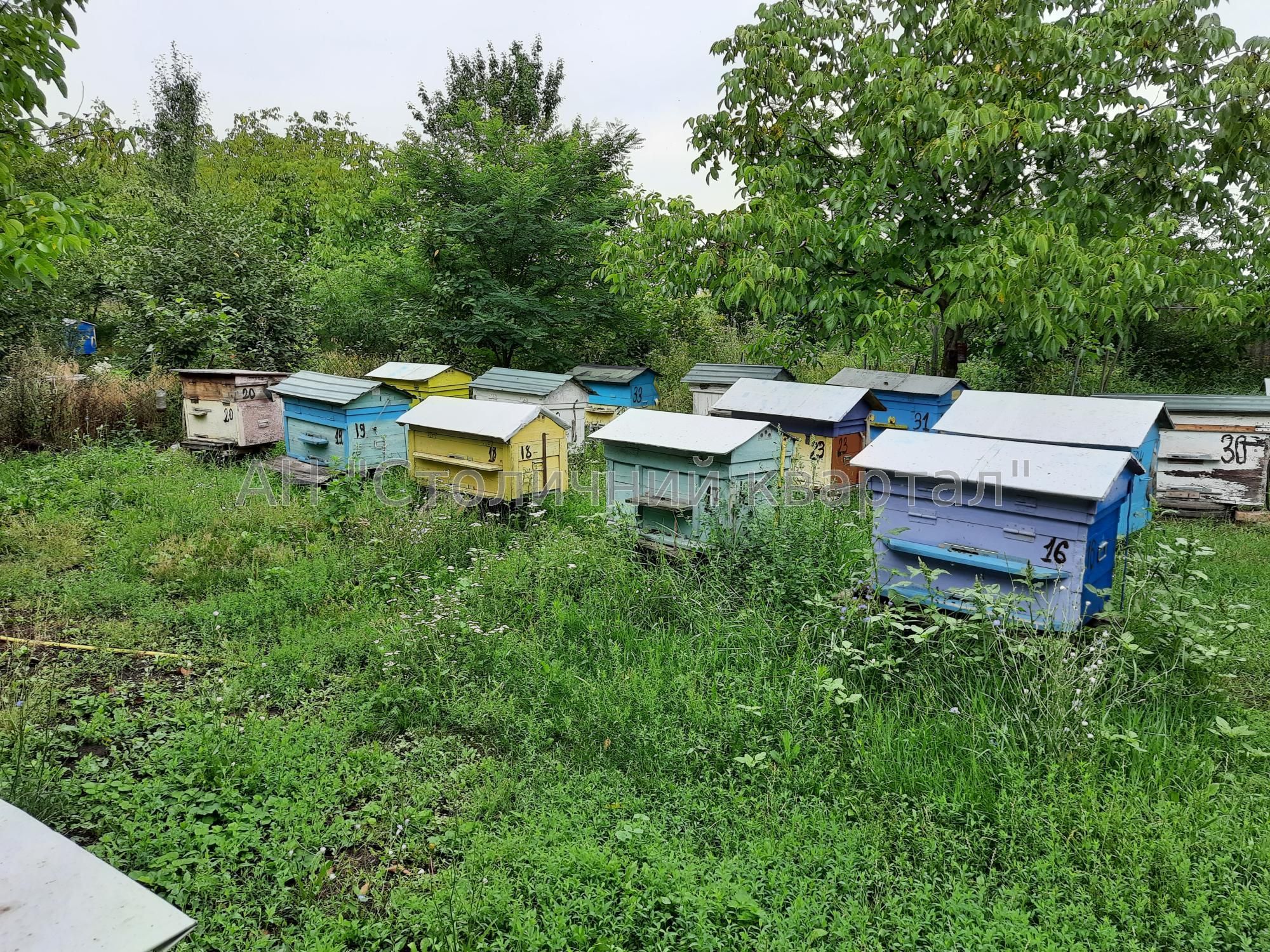 Без комісії будинок домогосподарство Пугачівка Жашків Уманський район