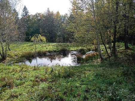 Dom w górach na sprzedaż ok.150m² i piękna widokowa działka 77 arów