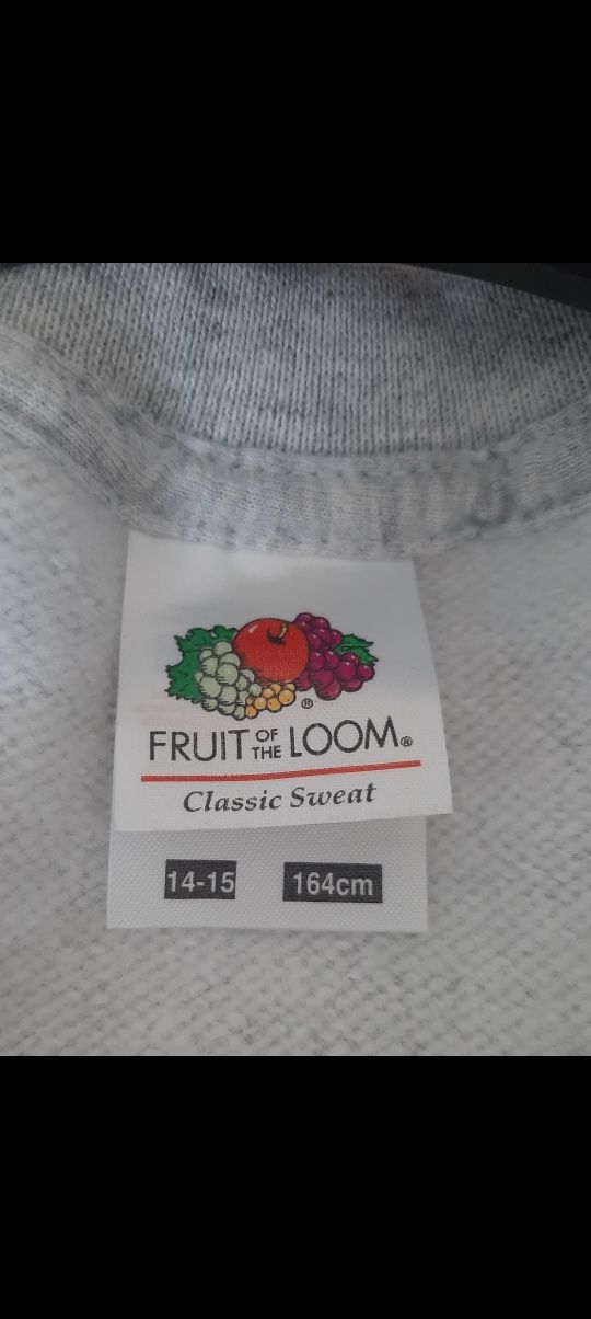 Bluza chłopięca "Fruit of the loom" 164