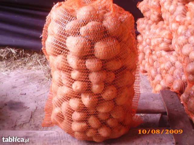 Ziemniaki jadalne bez chemi