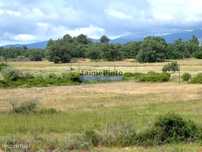 Propriedade 80,1ha de Cultivo Agrícola. Portugal, Belmonte, Castelo...