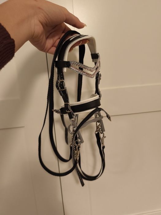 Ogłowie dla hobby horse