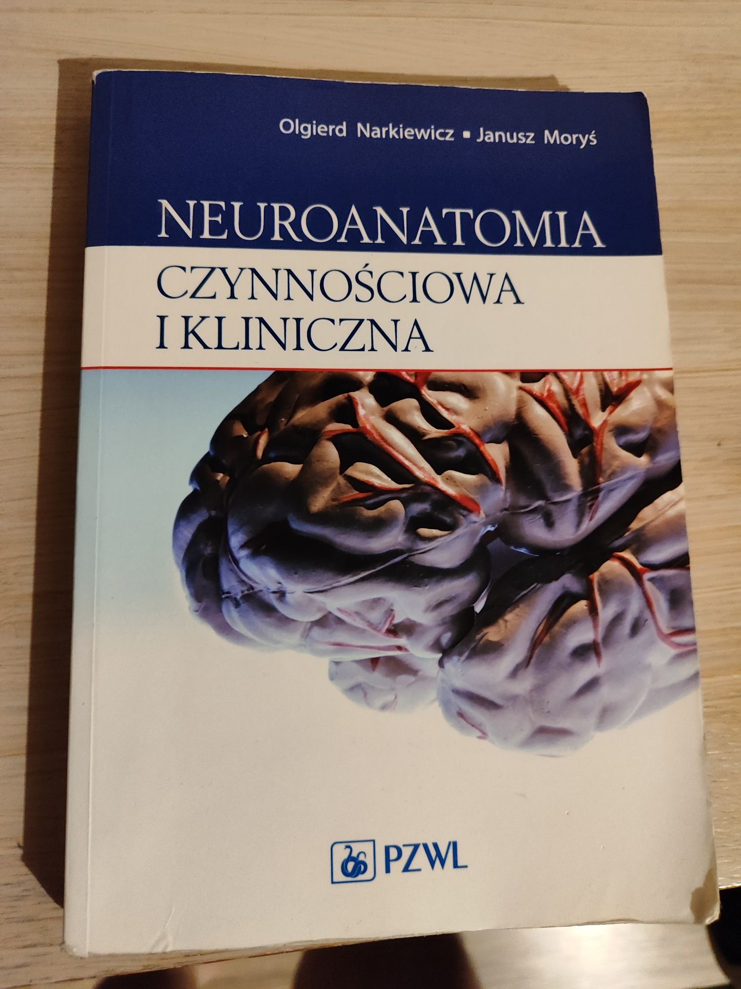 Neuroanatomia Narkiewicza, neuromoryś