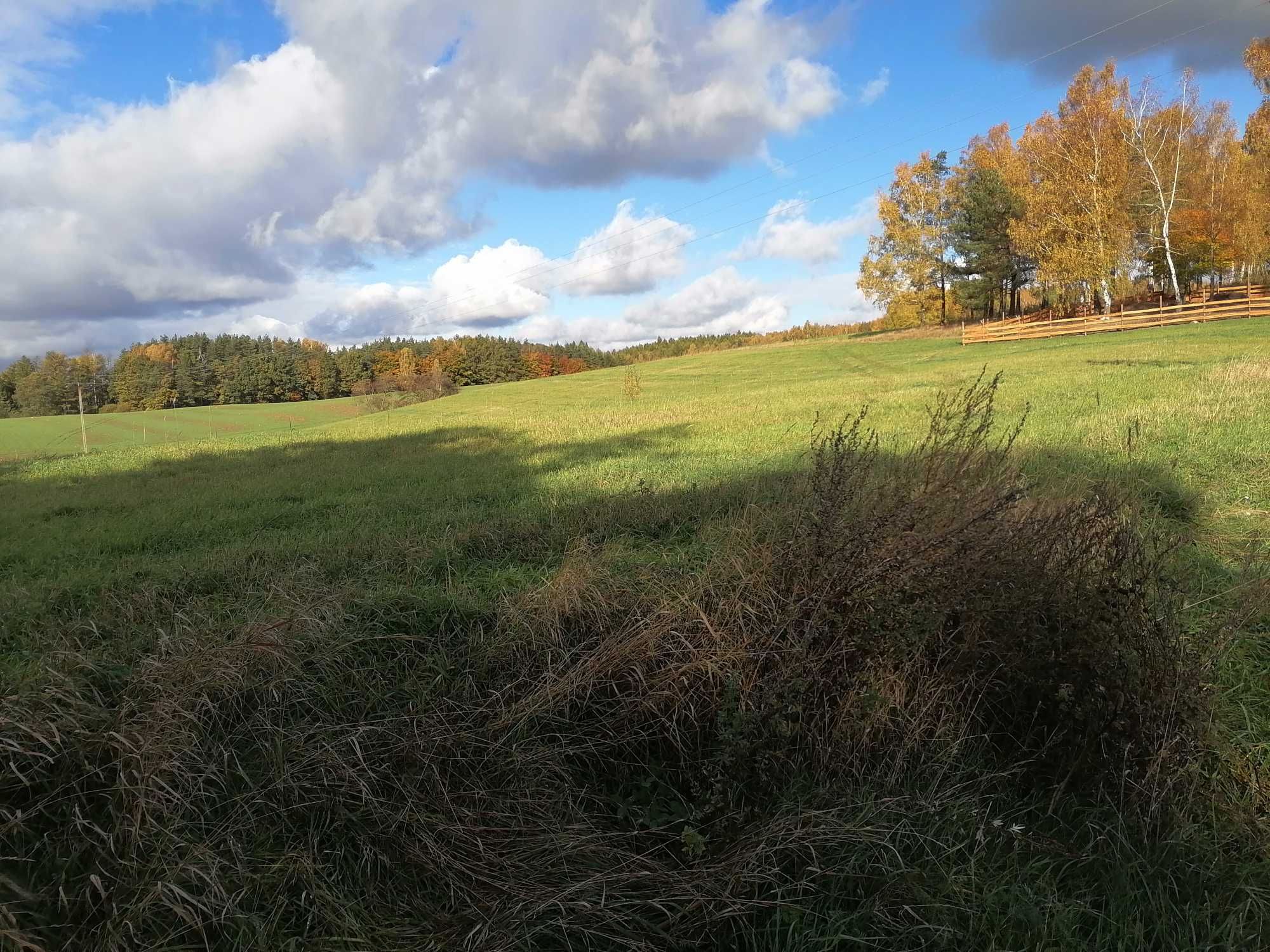 działka budowlana nad jeziorem Patulskim