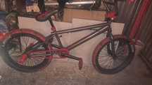BMX  OGIEN zobacz