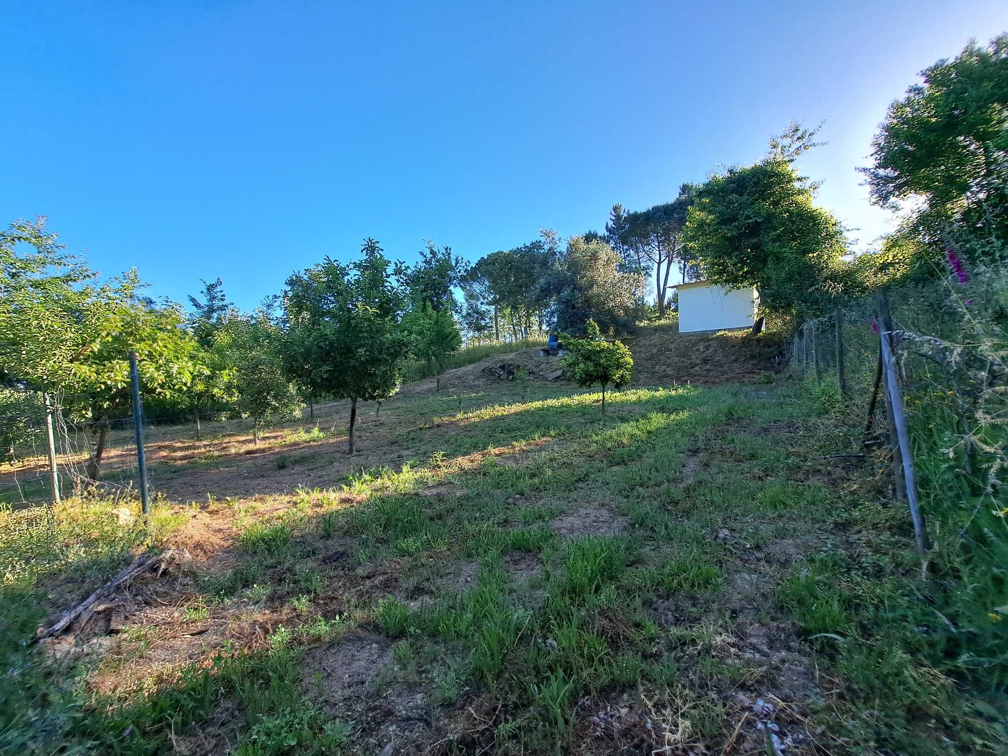 Terreno Agricola