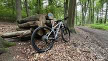 Rower TREK PROCALIBER 8 M/L Plasma Grey Pearl 2025