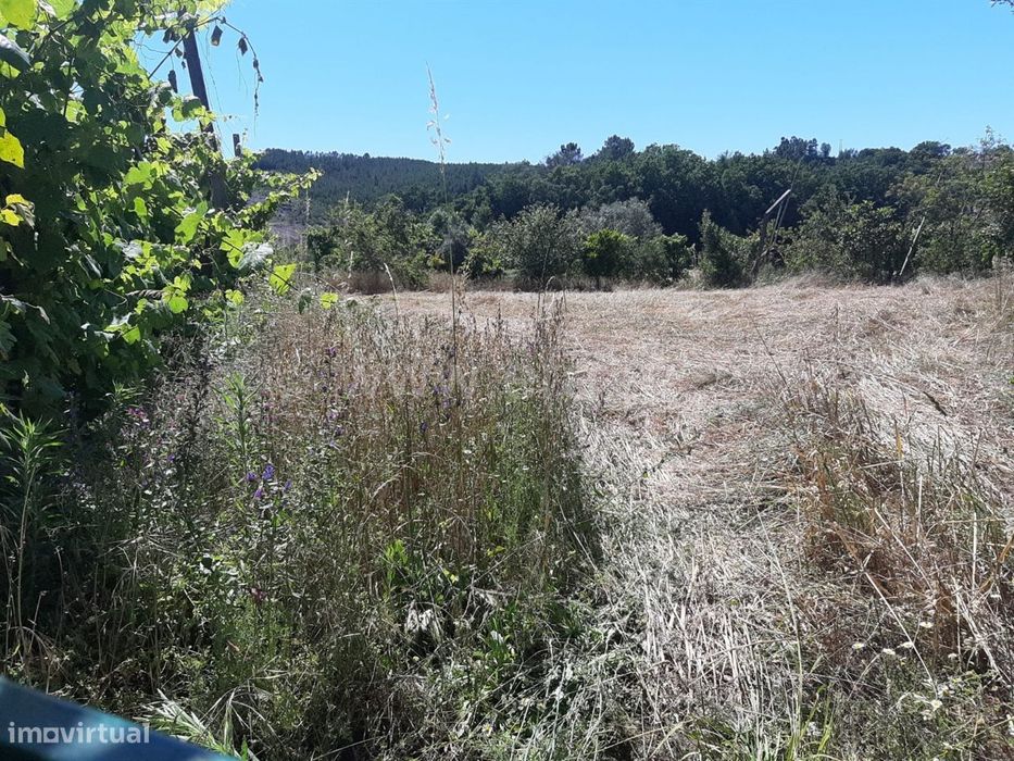 Terreno agrícola com 3.600 m2 em Cabeceiras de Basto