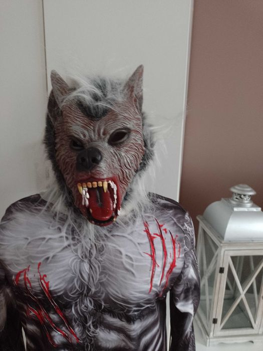 NOWY strój karnawałowy WILK WILKA WILKOŁAKA przebranie 134/140 (515)