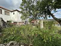 Limpeza de terrenos - Equipa Profissional