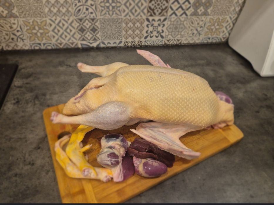 Tuszka kaczki francuskiej