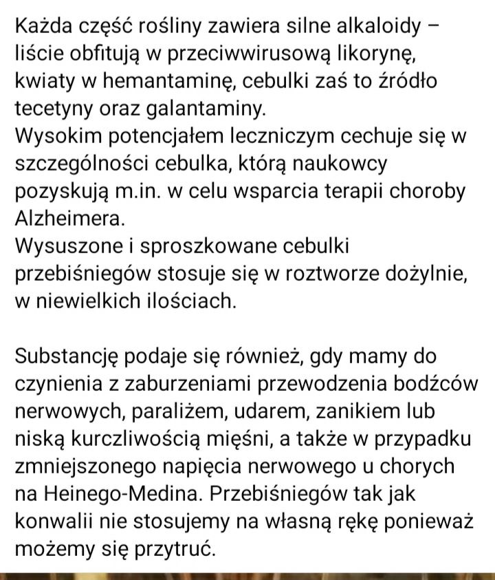 Przebiśniegi z lasu 50+5