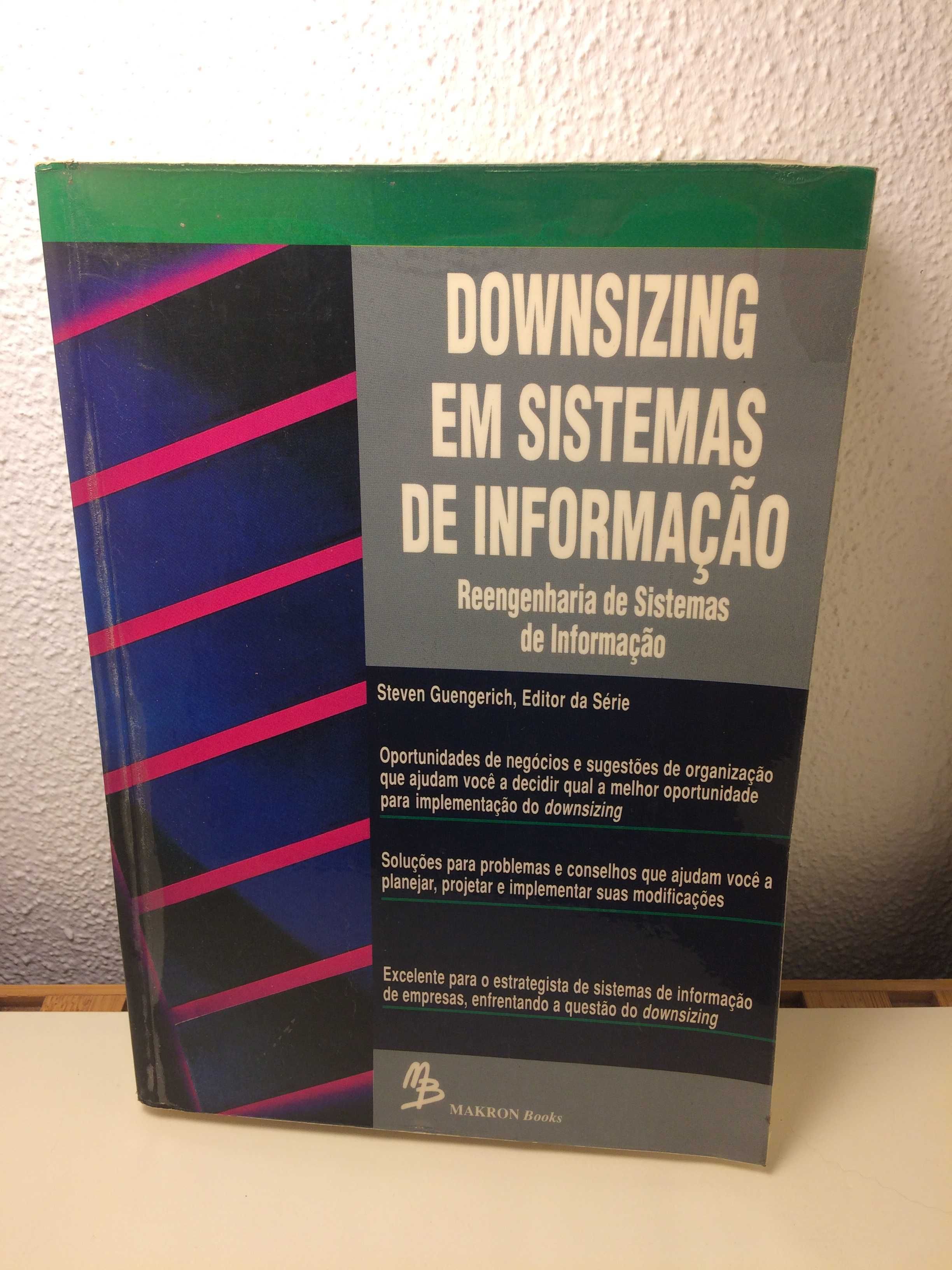 Downsizing Em Sistemas De Informaçao