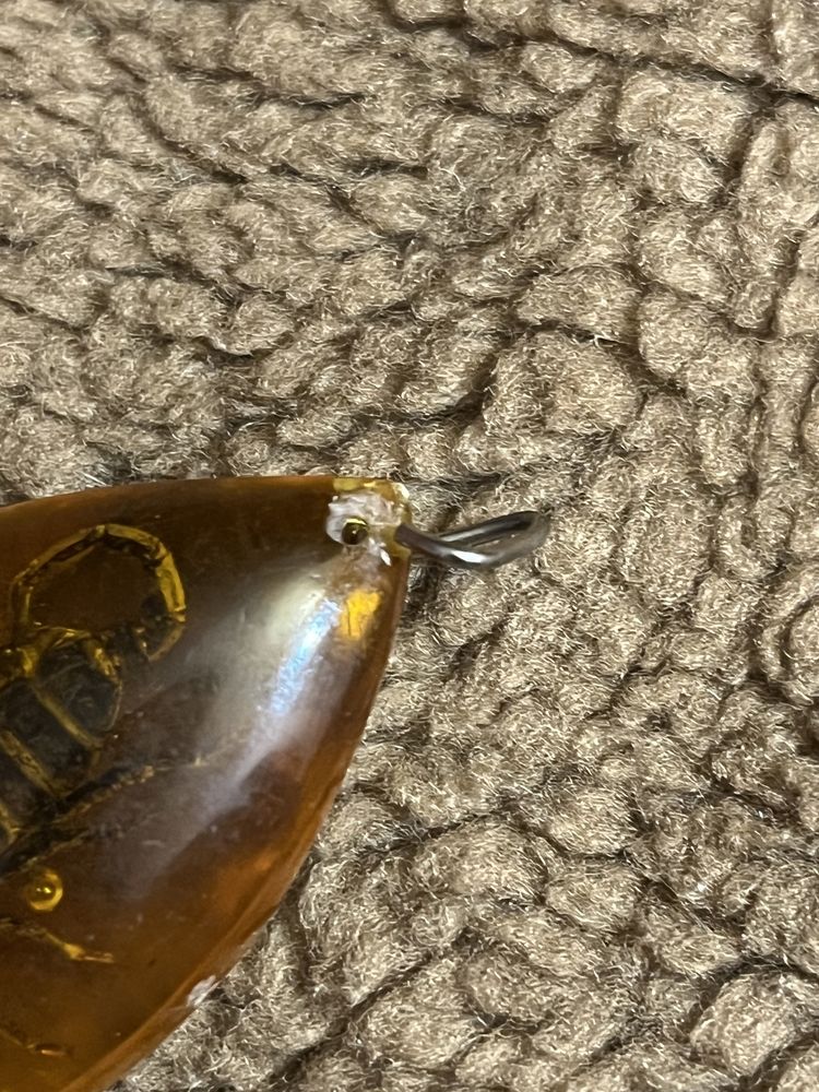 Zawieszka 5 cm bursztyn ze skorpionem złotym