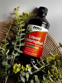 Хлорофіл рідкий від Now Foods 473 мл, Chlorophyll Liquid, mint