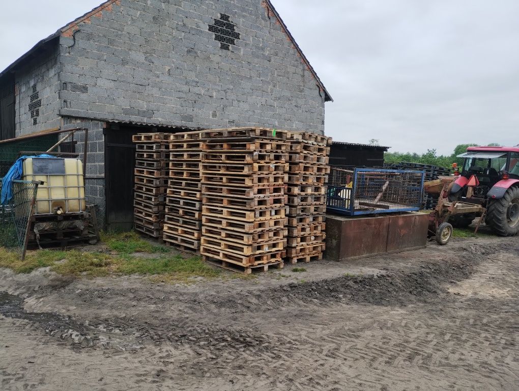 Mobilny Skup Palet 120 x 80 gotówka dobre ceny