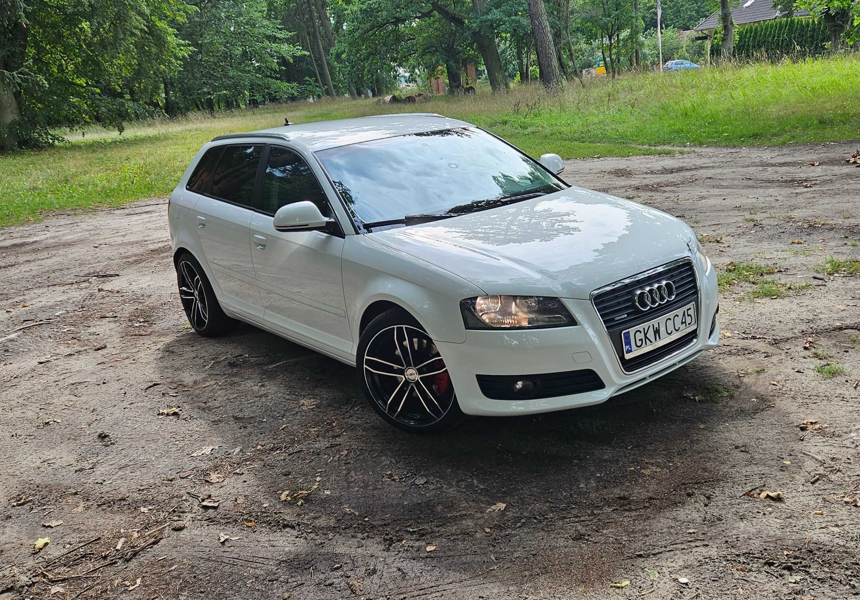 Audi a3 8p quattro