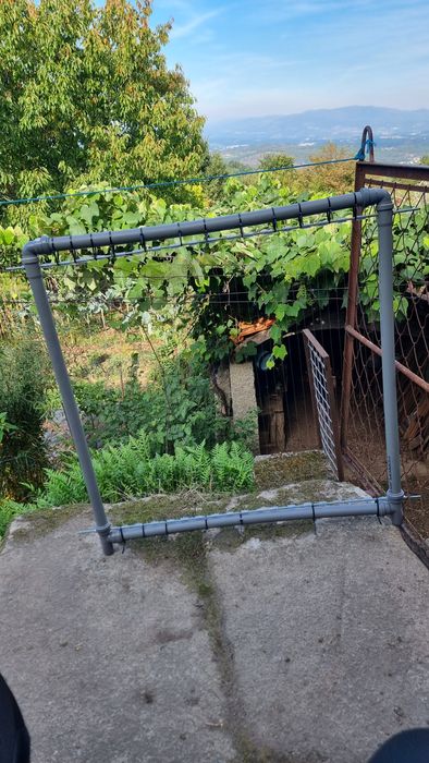 Harpa elétrica contra velutina