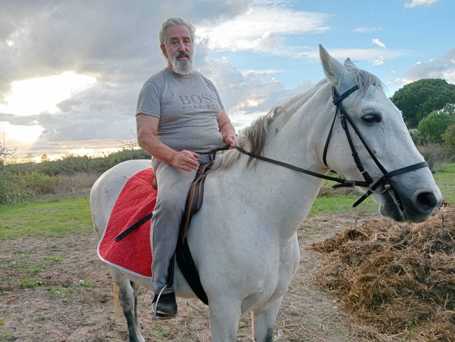 Vendo cavalo 11 anos montado e engatado com livro verde