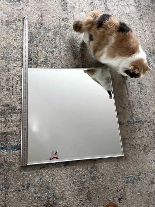 Дзеркало настінне в металевій рамі 600х600 мм Алюміній матовий
