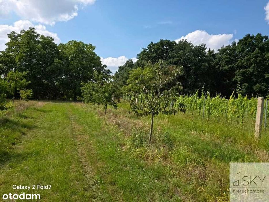 Działka siedliskowa 4344 m2, wydane WZ - Brochocin