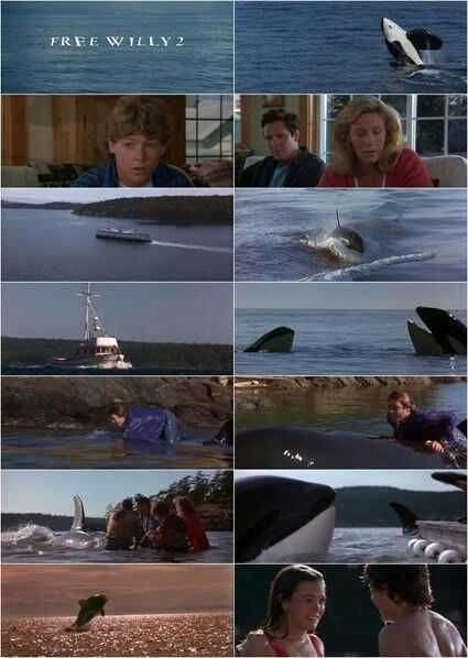 Trilogia LIBERTEM WILLY (Free Willy) Até onde irás por um Amigo?