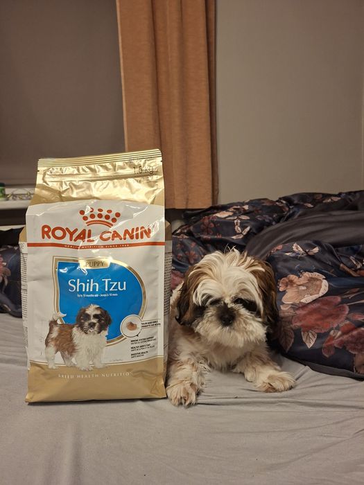 Karma shih tzu Royal Canin 1.5kg
