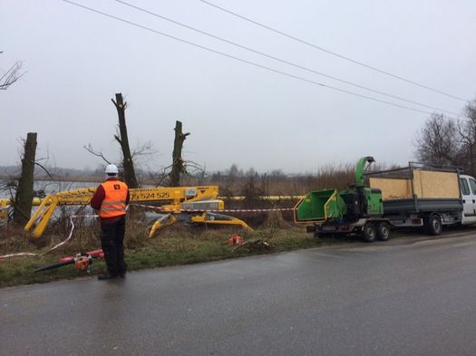 Wycinka drzew tanio profesjonalnie podnosnik koszowy zwyzka