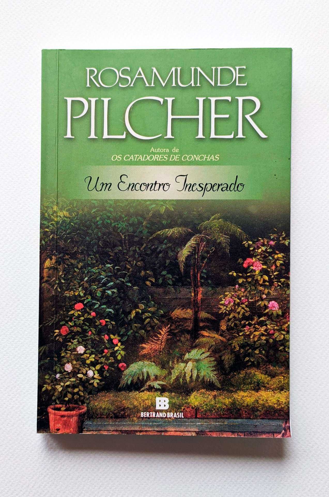 Um Encontro Inesperado - Rosamunde Pilcher (livro)