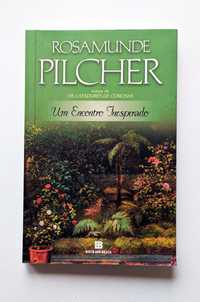 Um Encontro Inesperado - Rosamunde Pilcher (livro)