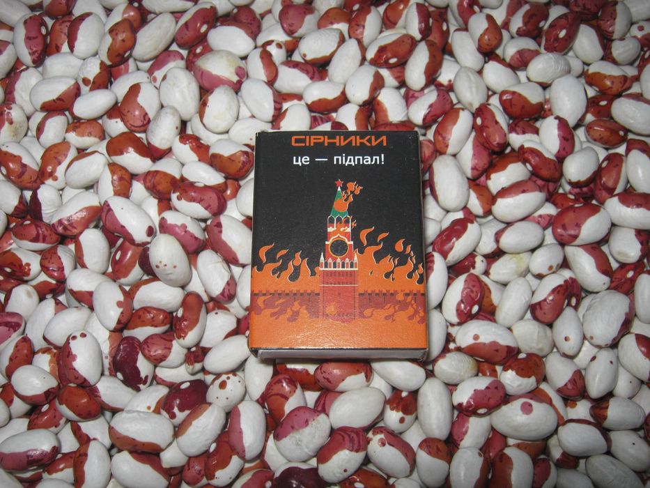 Квасоля домашня Червона Шапочка свіжа урожай 2025 від 1 кг