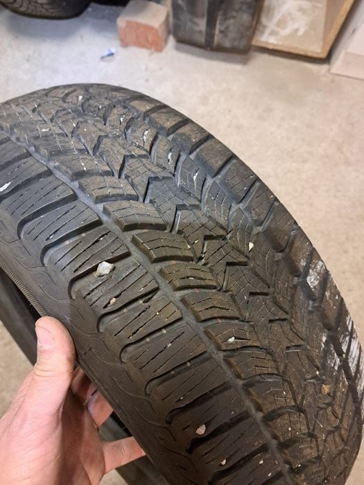 Cztery opony marki Dębica