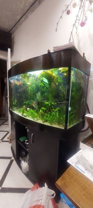 Панорамный акваріум 300 л.