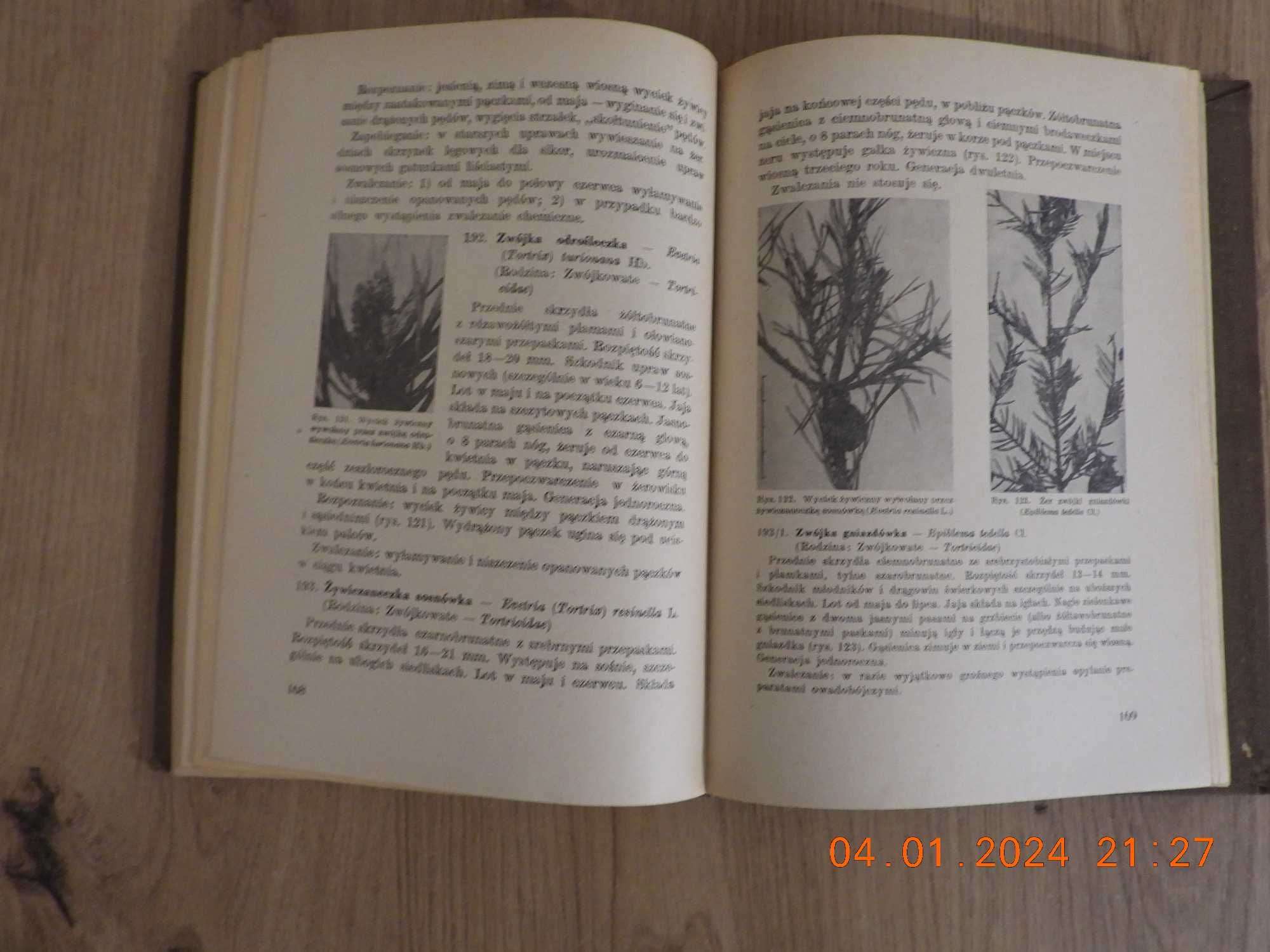 Atlas owadów leśnych. Witold Koehler, Zbigniew Schnaider