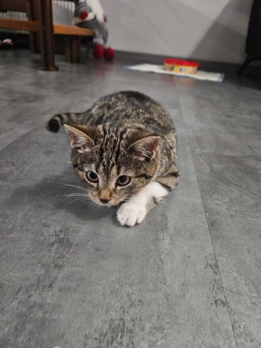 Luna szuka swojego człowieka