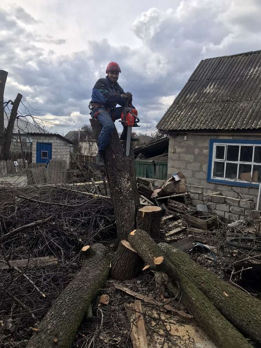 Спиляти дерево, Спилить дерево, Обрізка дерев, Розчистка території,