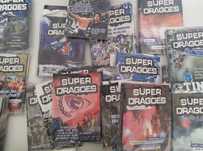 Fanzine Super Dragões