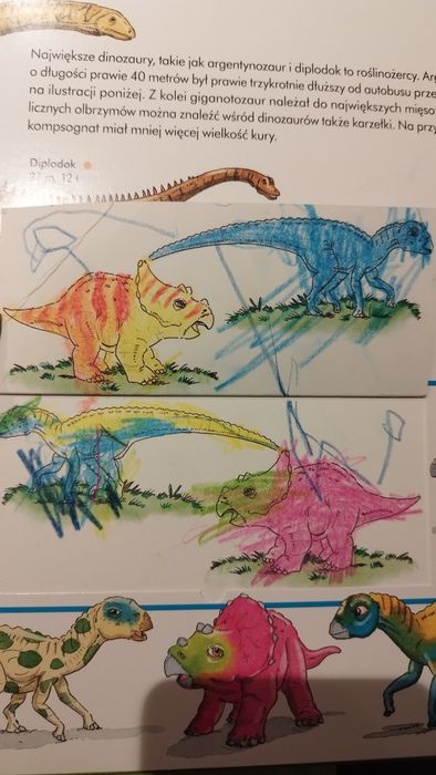 Ting mówiący długopis zestaw 8 książek gra karty