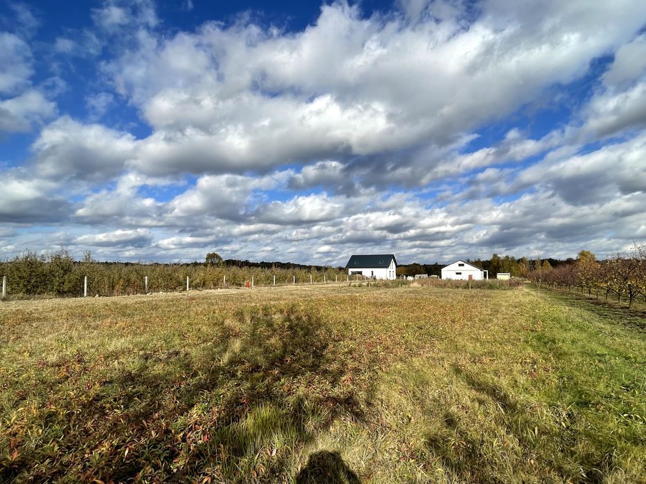 Działka budowlana z widokiem na las, Cholewianka, Gm. Kazimierz Dolny